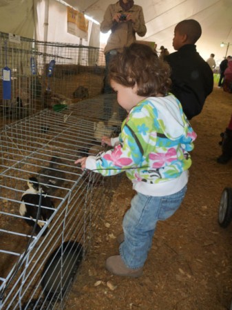 Milly Dotsey at the 2010 Cape Fear Fair and Expo with ducks