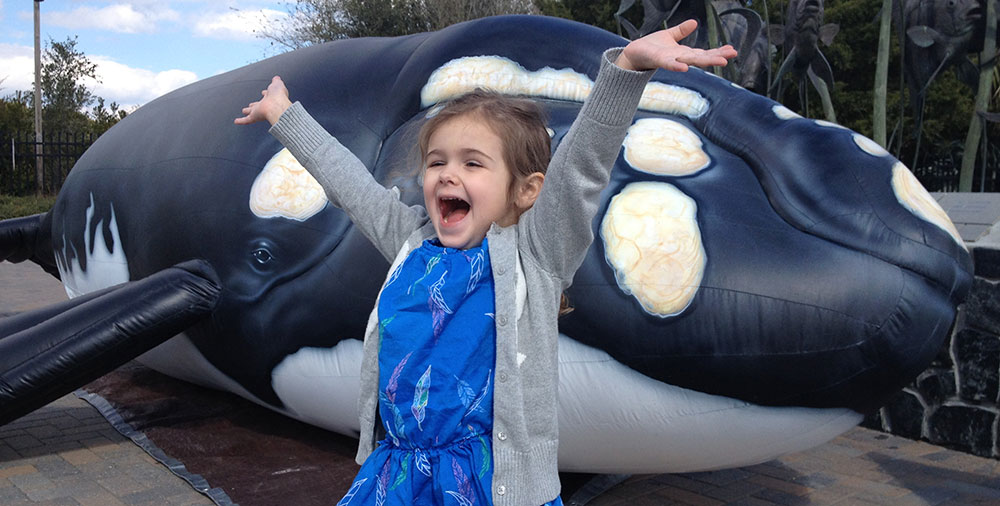 milly-at-the-aquarium