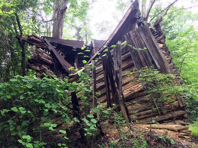 Abandoned-Tobacco-Shed