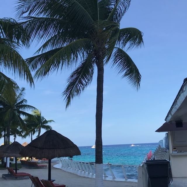 Just a little bit of #morningzen. #DotseyCozumelTrip2017 #palmtrees #runningwater #vacation #travel