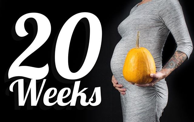 Okay, so technically we were slackers all week and tomorrow is 21 weeks, but whatever. The #DotseyDuo are now as long as that #pumpkin, head to heel! We couldn’t quite get two pumpkins to look right, so just take that pumpkin, add another one, and all that is what’s in that belly right now. Since we’ve got #identicaltwins in there, we’re already more than halfway through. # #pregnant #pregnancy #pregnantbelly #preggo #preggers #preggobelly #twins #twinning #twinpregnancy