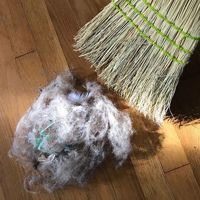 When you’ve got two dogs and a cat but you haven’t swept the living room in a couple of days.