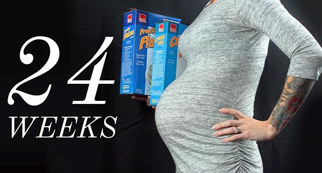 24 weeks (and two days)! The #DotseyDuo are each about the length of a cereal box. Good thing they’re all balled up, though they’ve been headbutting their mom’s bladder. #twinning #maternity #pregnant #pregnancy #preggo #twins #pregnantwithtwins #pregnantbelly