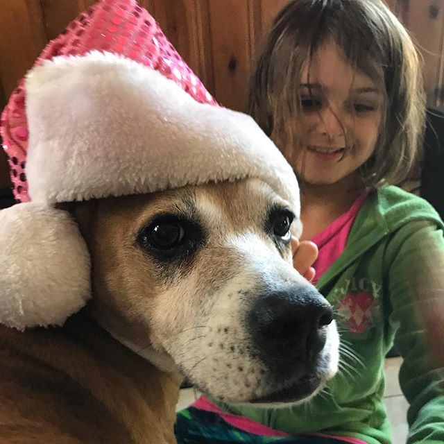 Elmo Clause is coming to town. #Christmasdog #Meliamae