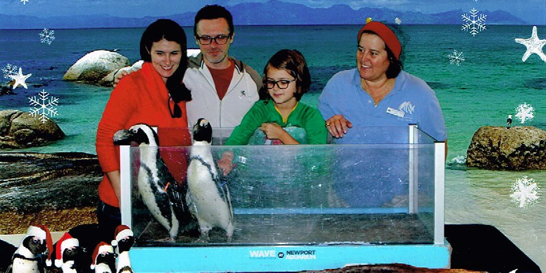 Did You Ever Pet  a Penguin?