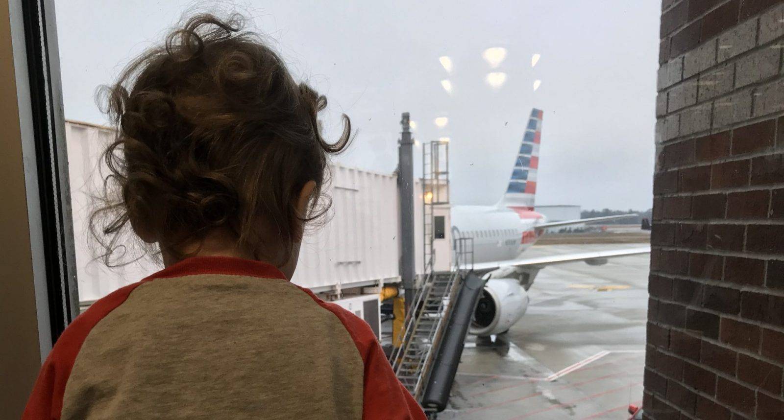 Phoenix looking at the airplane