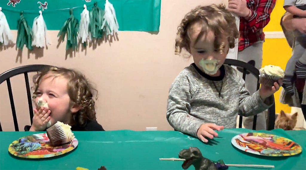 Fawkes and Phoenix’s Third Birthday Fawkes and Phoenix’s Third Birthday